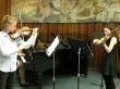 15_Natálie Dubišarová, Lukáš Lorenc_houslové duo.jpg